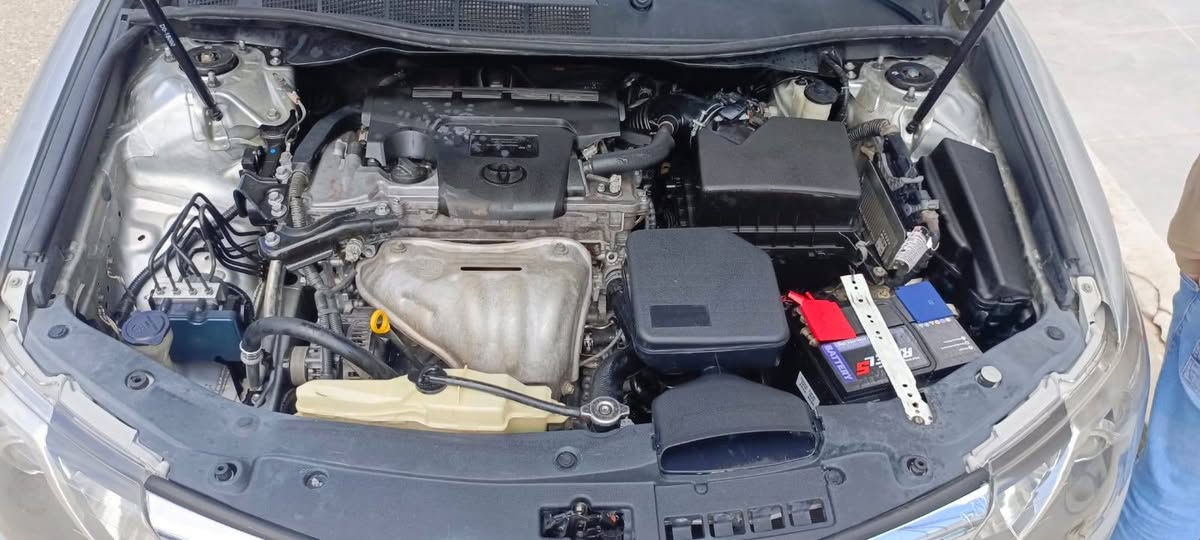 شباب سياره كاري 2012بيهه 3قطع مواصفات أمريكي 
بيهه عته ب كيىر ثالث فقط صالهه سنه يمي سياره ما بيهه اي مشكلة حلوه مرتبه جديد مبدل طخم كدام مكينه تبريد بشرط حبايب اي احد شراي يتصل موجود واتس اب عل رقم و يدلل
هاوريان كامري 2012 3بارجه ي هه يه أمريكي سياره ته نها كير سي نه تر ده كا له كاتي كوريني ئه ويش ساليكه له كنمه كيشه ي بوم دروست نه كردوه بيشي كه بسه جاملغي دواوه لأي سائق زوري هه يه ئه وه ي حه زي لي بوو ته له فون بكات ره قه م واتس اب له سه ره ***********
سعر سياره 95بيهه مجال ل شراي 
سعري 95ورقه مجاليكي برايانه ي تيدايه أربيل, العراق
