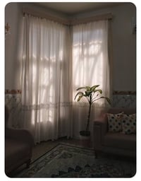 بردات • نظيفة • مايكرو