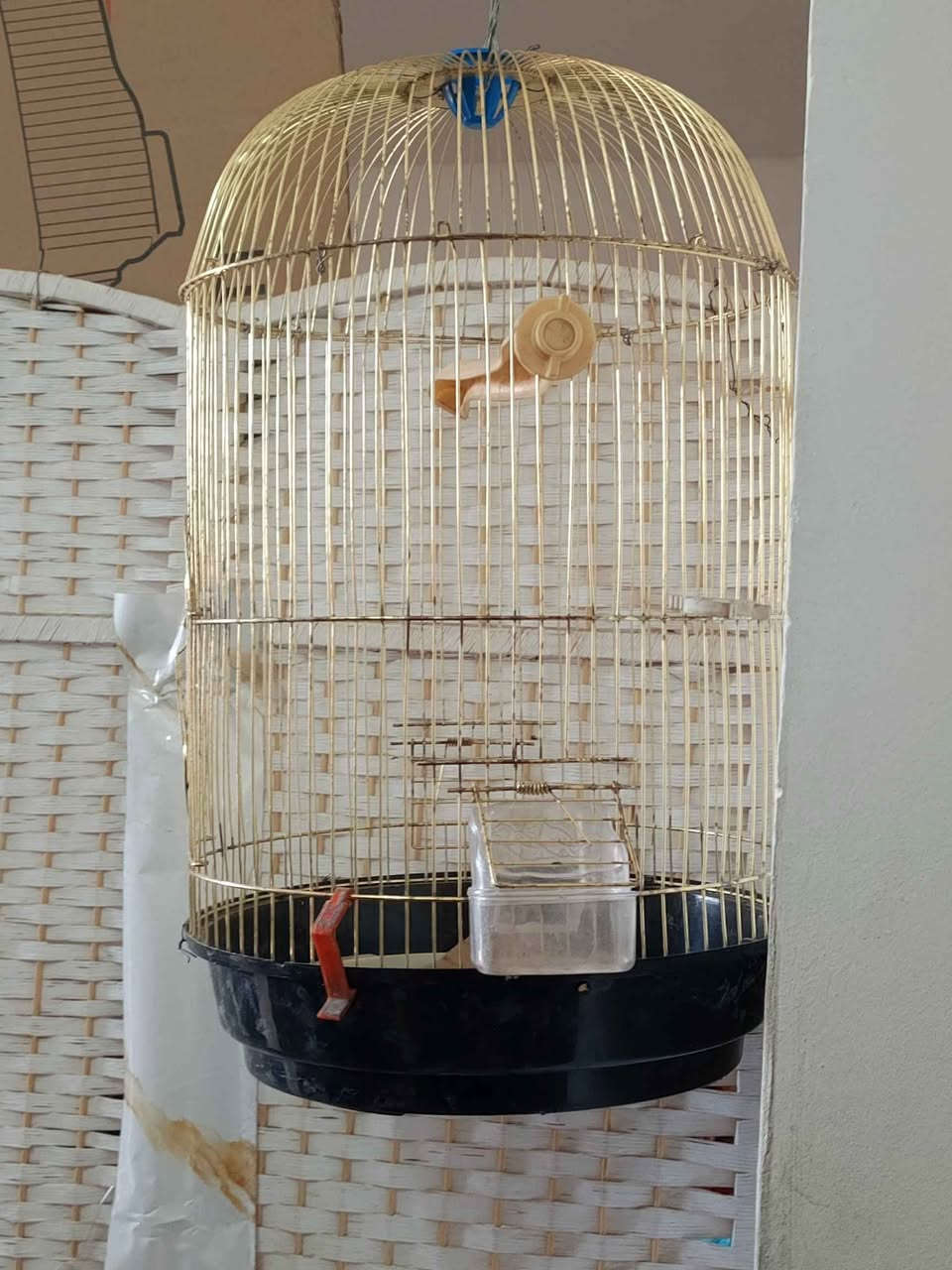 قفص حجم كبير لون ذهبي مكاني الشعب سعر 15 بغداد, العراق


**إذا كنت صاحب هذا الإعلان وتريد حذفه لأي سبب، رجاءا أرسل رسالة إلى الدعم الفني**