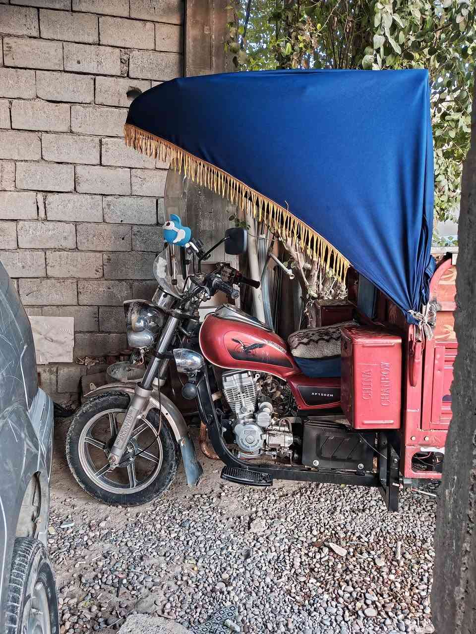 سلام عليكم فحل عالي اوراق كمله موديل 23 للبيع الستفسار ***********الموشراي رجان لا خابرني ستوته كلها شرط مال جناي
