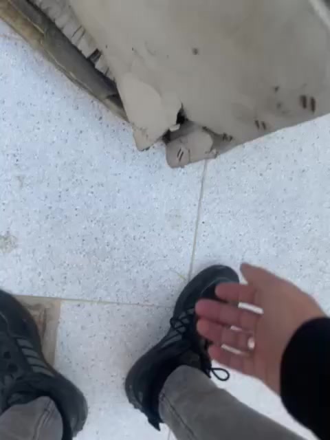 سبلت توسوت كاسيت 5طن
جديد ممشتغل نهائياً 
 توزيع الهواء 4 اتجاهات لتغطية ممتازة في المساحات الكبيرة.  ￼
 • تصميم مناسب للأسقف المزدوجة  توزيع هواء متساوٍ.  ￼
 • هدوء نسبي في التشغيل مقارنة بالأجهزة التقليدية.


**إذا كنت صاحب هذا الإعلان وتريد حذفه لأي سبب، رجاءا أرسل رسالة إلى الدعم الفني**