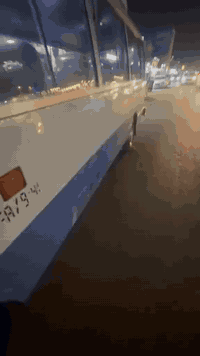 كوستر راس 2010
كفالة مكينة كير صدر اكسل كفالة
غرفة كاملة مكملة قلابي ستاركس 
كشنات دبدوب تايرات چوبلس ويل عالي ومنضومة غاز 80 
الابيض بلادي بيها اماكن صبغ بالازرك
درع امامي وخلفي درج سيباية كاملة
السيارة خير من الله مناقصها اي شي
التواصل *********** 
السعر 265 السنوية بأسمي تحويل مباشر مصفرة هيئة وغرامات
