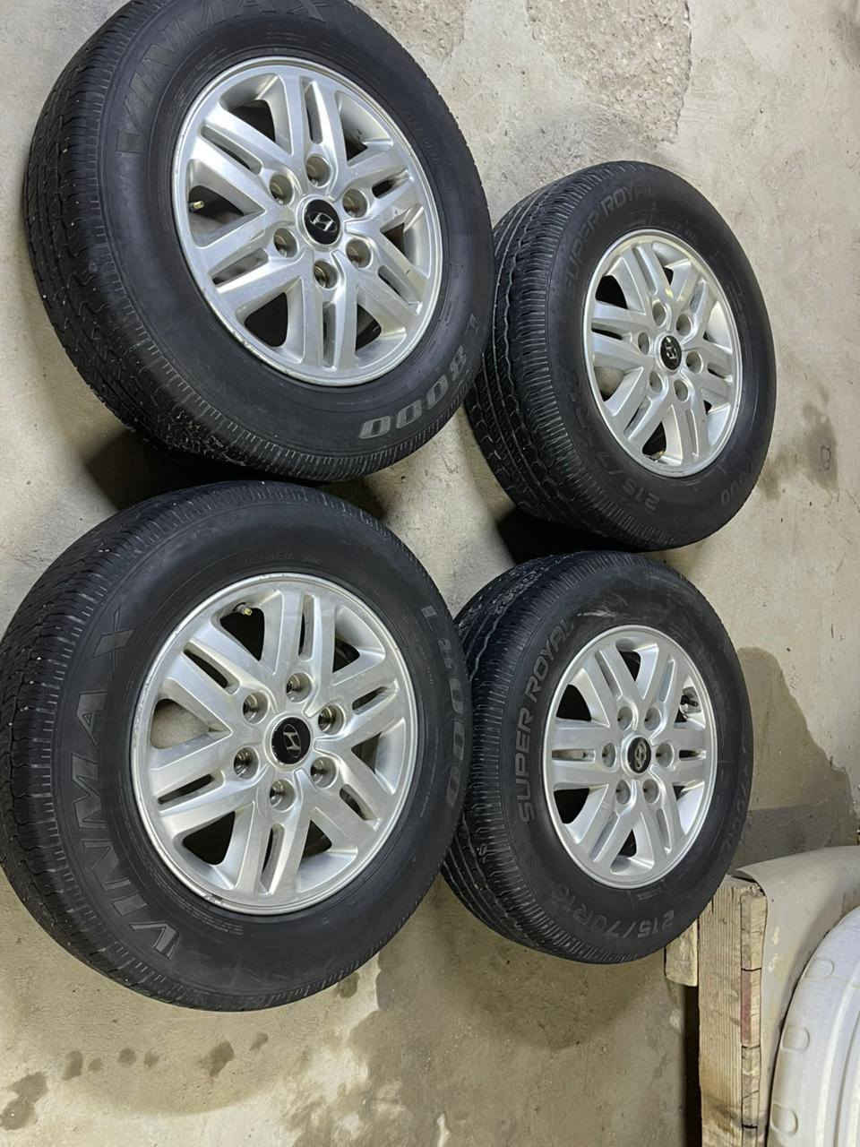 تخم ويلات دبلو هنه وتوايرهن اللبيع توايرهن جدد ٤٠٠ وبيهن مجال مكاني بصره الهارثه ***********
