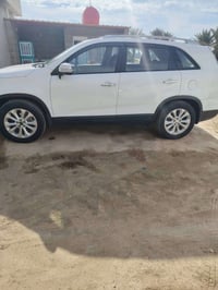 سورنتو خليجي • ٢٠١٤ • ٧ راكب