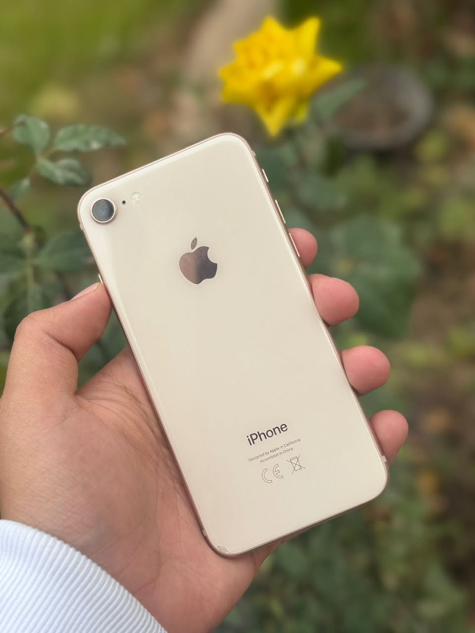 ايفون 8 عادي
بطاريه 72
ذاكره 64
جهاز نضيف وما مفتوح فقط بيه هزه بلكامره الخلفيه  
سعره 80


**إذا كنت صاحب هذا الإعلان وتريد حذفه لأي سبب، رجاءا أرسل رسالة إلى الدعم الفني**