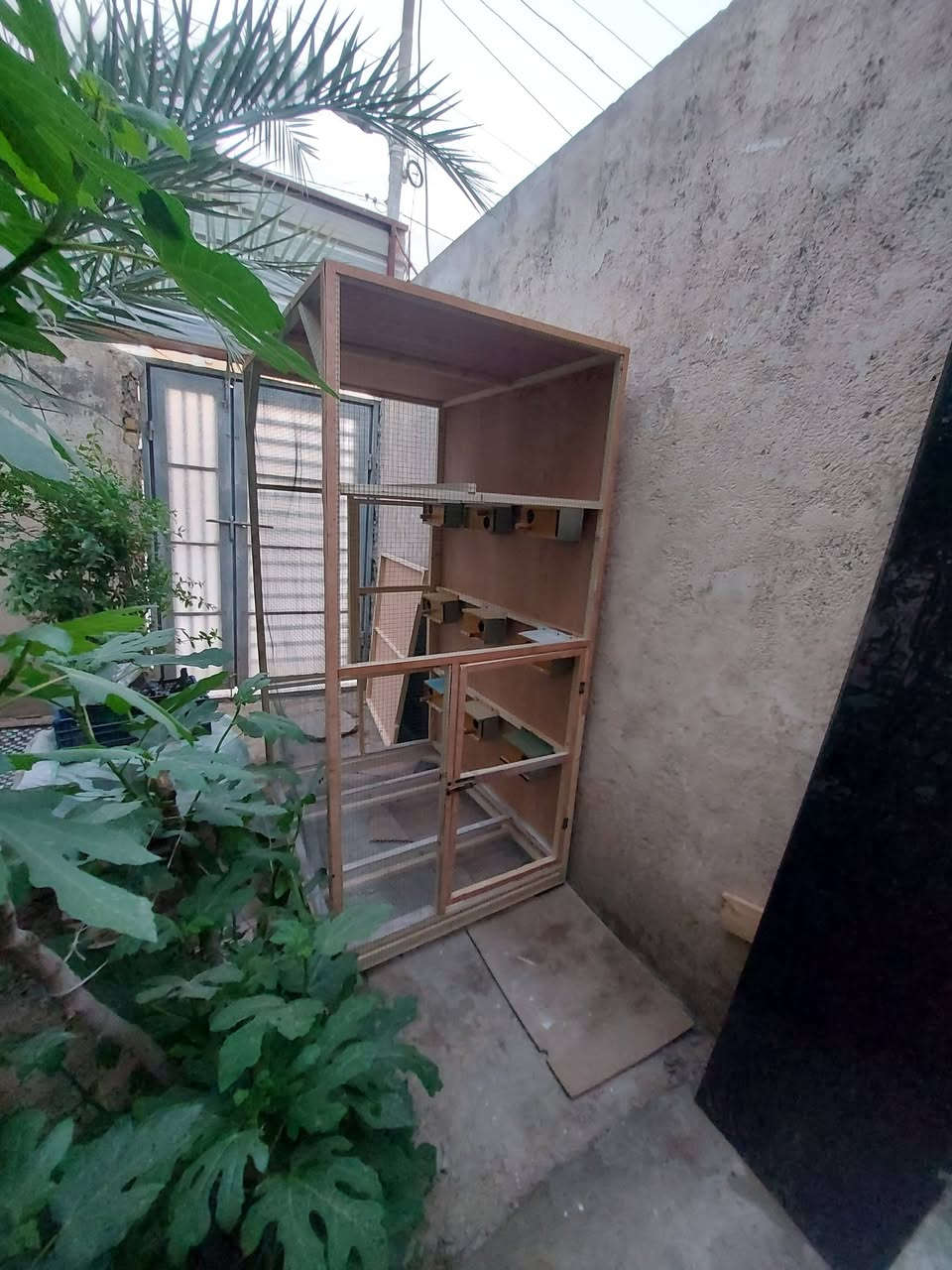 قفص كناري السعر ( 100الف وبي مجال)  
الوجه 120cm 
النزال 95cm 
الرتفاع 200cm  ( ٢ متر ) 
جرارة تنضيف


**إذا كنت صاحب هذا الإعلان وتريد حذفه لأي سبب، رجاءا أرسل رسالة إلى الدعم الفني**