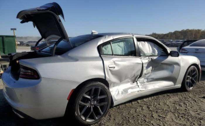 جارجر SXT2022 بلاس
الموقع بغداد
رقم التواصل واتساب ***********
السعر 224 ورقه بيها مجال
فول مواصفات وارد امريكي
قطعتين مضروبات ومبدلات فقط موجودات بلصور
كير اوتماتيك
باقي المعلومات بعد التواصل
