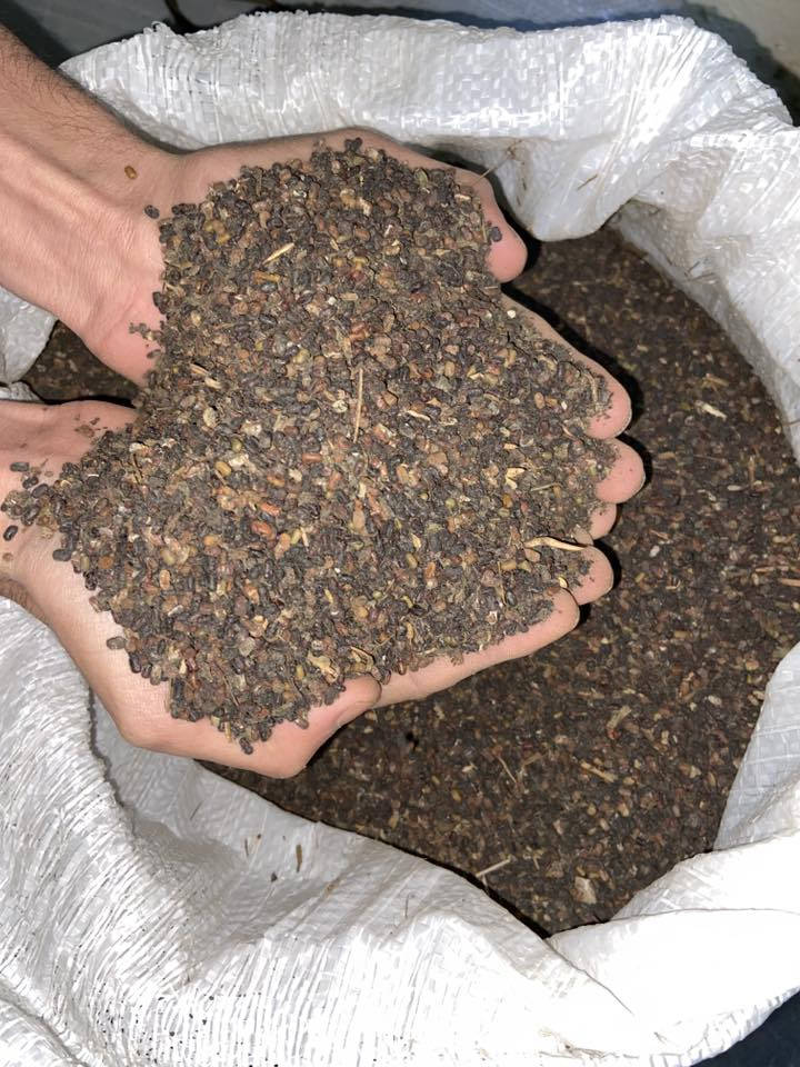 السلام عليكم يوجد بذور سيسبان للبيع  لاستفسار ‭٠٧٨١ ٩٦٨ ٤٨٦٨‬
