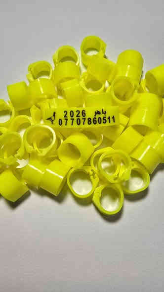 متاح عمل حجول حفر
| فافون وبلاستك

(1) سعر ال 100 حجل ب13الف توصيل مجاناً
(2)سعر ال50 حجل ب10 الف توصيل مجاناً
(3) سعر ال 150حجل ب20الف توصيل مجاناً
(4) اسم ورقمك 
(5) ضمان 5سنوات 
للحجز مراسلتي خاص
الاتصال على الرقم 📳 ***********📳***********

..SAOkrdZWdphvgpigqu
