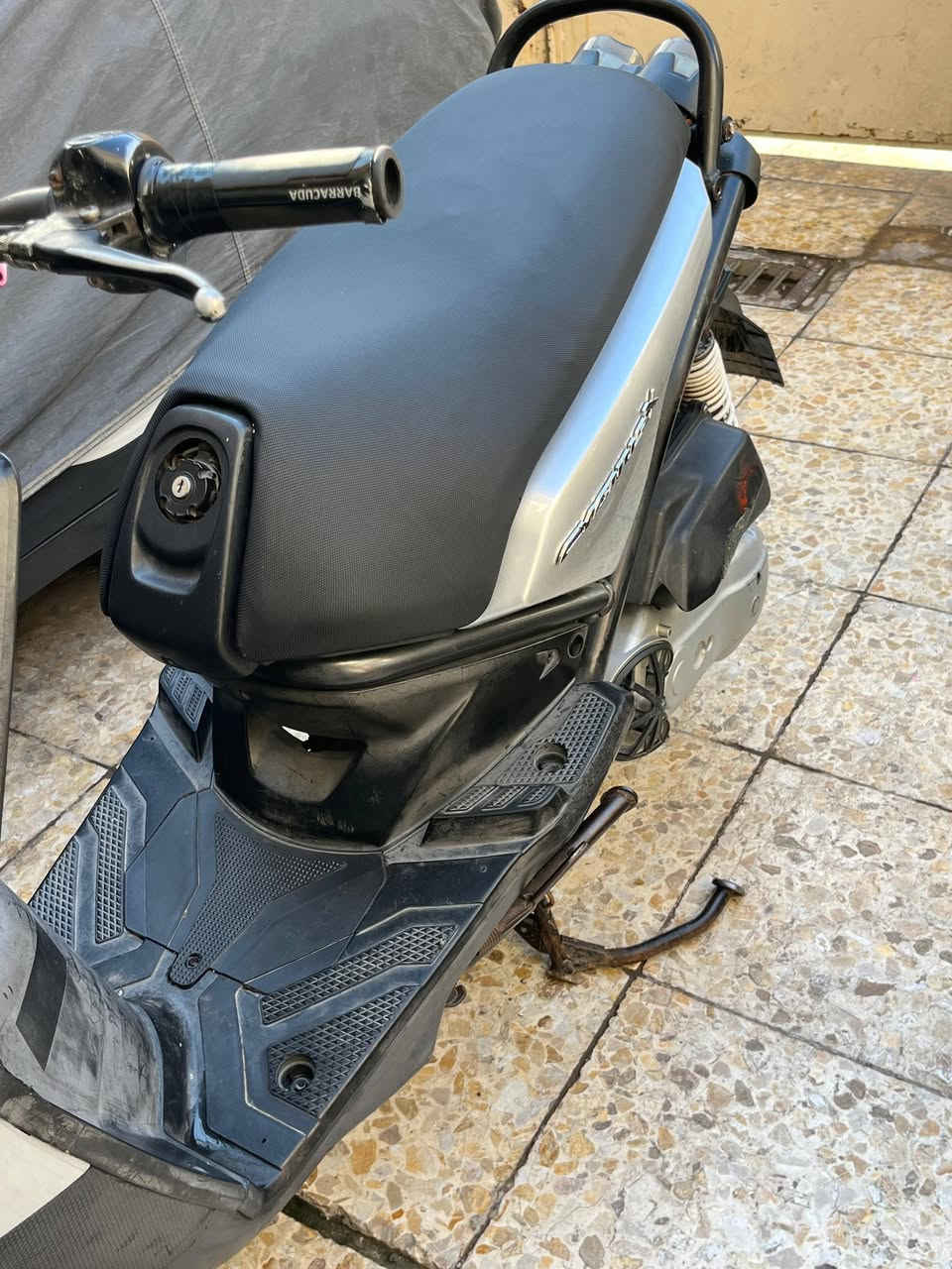 سلام عليكم سكنس جبلي للبيع مكفوله كفاله عامه من كلشي مكان بغداد سعر 900 وبيه مجال للطيبين رقم ***********🖤
