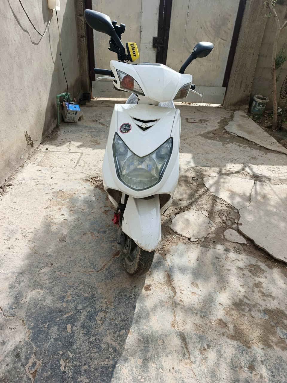 سلام وعليكم سكنس فحل للبيع شغاله نكره بكل وكت اشاير دبل اشاره كلهه شغالي *********** المكان بغداد محموديه
