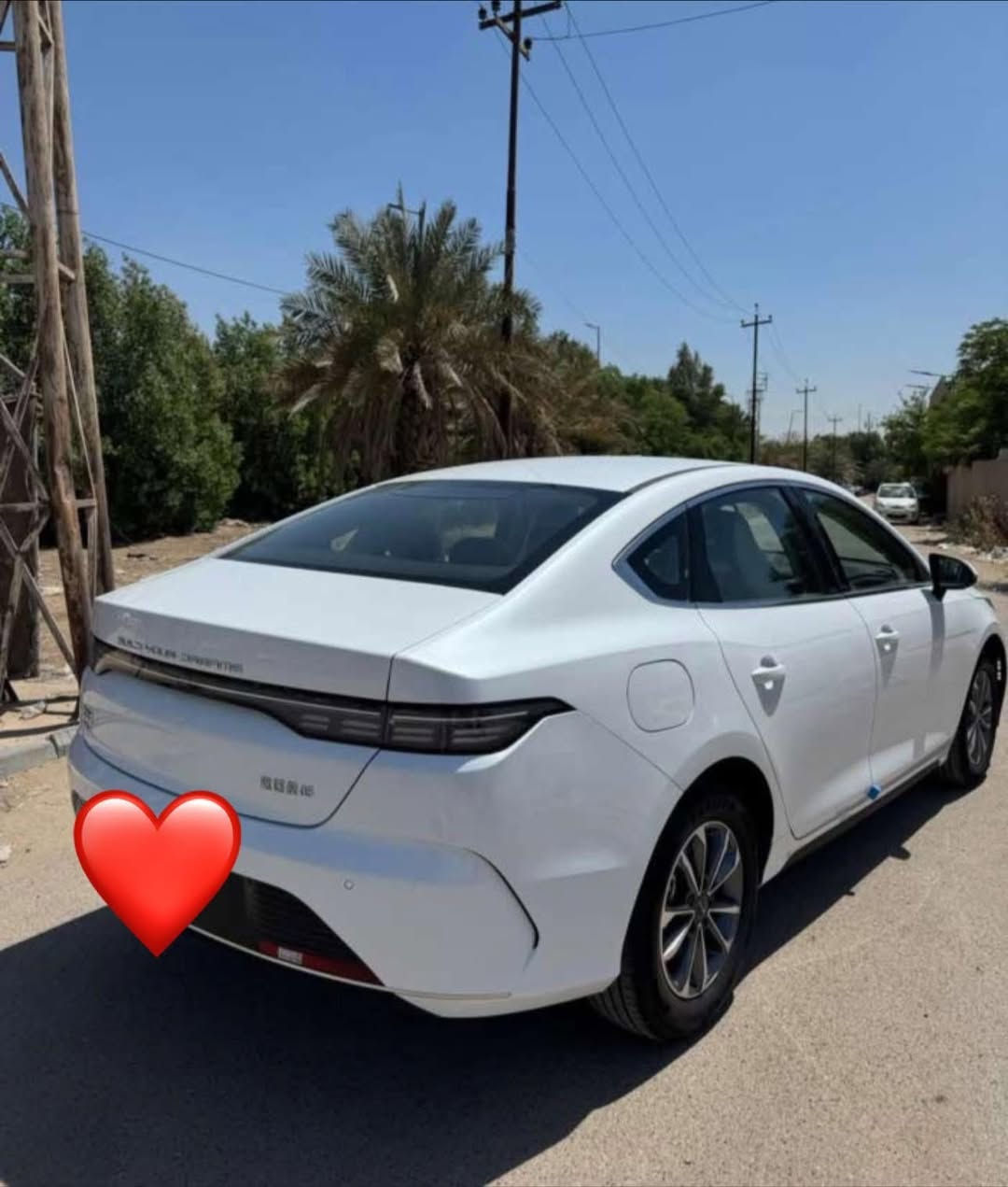 دستروير 2025 كفاله ممشى 500 كيلو فقط
رقم بغداد بغداد مستعجل على بيعتها
ب18 مليون

تواصل ***********

سجاد
