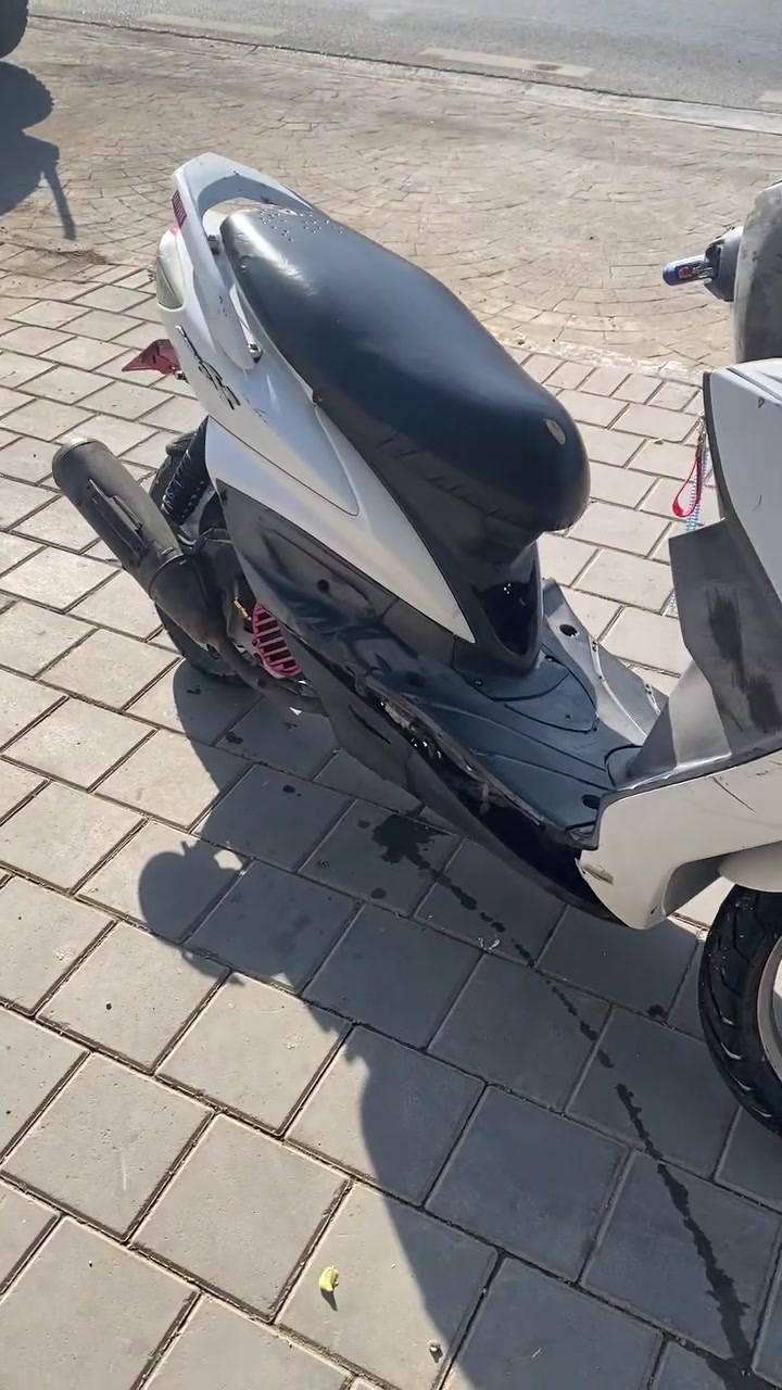 السلام عليكم شباب دراجه سكنس فحل قبق نفخ ياباني دراجه حلوه وجديده بيه تزويد كلجات امامي خلفي ق.قاعده رقم وقبق فلاوين كرزي توبو وقطره رياضي ويدات أبريك رياضي ودراجه اوراق ومنفيس  ودراجه ناعمه المكان بغداد البنوك للستفسار ***********  السعر 850 وبيه مجال وستان صفح رياضي ويدات
