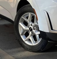 اريد من هذة الويل كب واحد فقط الي عندة يرسلني