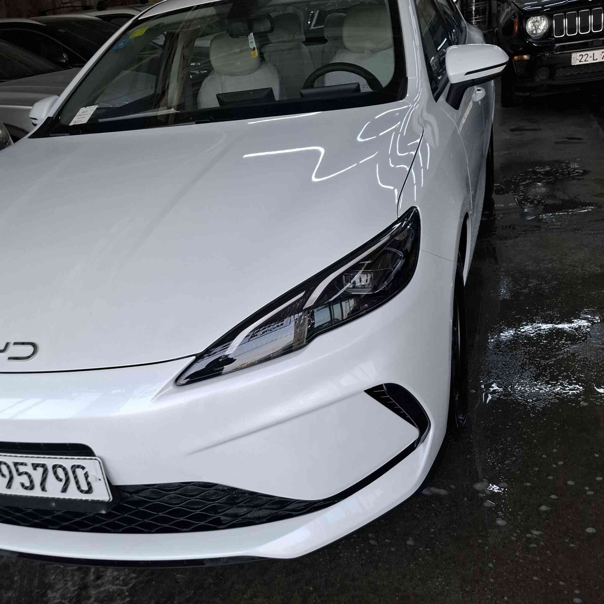 سلام عليكم بي واي دي سيل فايف 2025 مرقم بغداد بسمي *********** بغداد المحمودية
