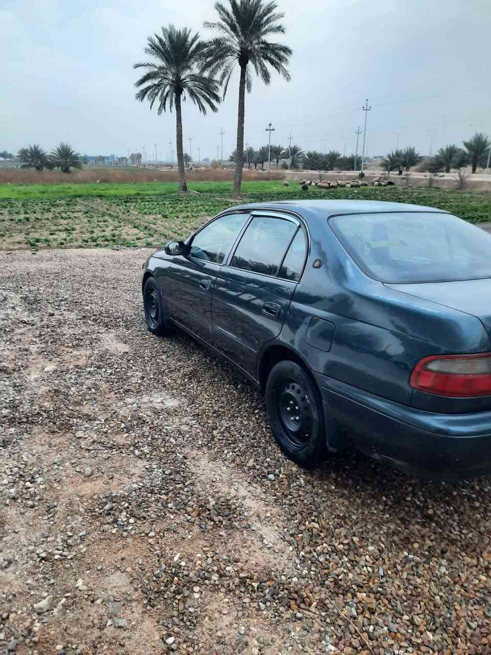 السلام عليكم من رخصت لادمن
تويوتا كرونا موديل 1993للبيع 
رقم بغداد إنكليزي تحويل مباشر 
السيارة جاهزة من مكينه وكير وصدر وكهربائيات والسيارة مكفوله من ضربه وصبغ بيهاا جراد القمارة والصندوق فقط/
والدشبول بلادي بدون كصه 
العنوان السيارة {لانبار الصقلاويه}
الهاتف{***********}
       {***********}
