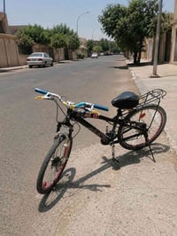 جبلي ياباني • ٢٤ • كربلاء