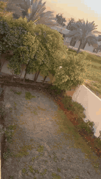 السلام عليكم
بستان وبيت 7 دونم 
ملك صرف سند مستقل شرط التحويل 
بغداد سلمان باك بداية الخناسة 
بيت كامل ومؤثث بناء درجة اولى 
2 غرفه واستقبال ومطبخ حديقة وكراج جاهز من كلشي 
مولد حجم كبير واضح بالتصوير 
بير ماء خاص بالبستان 
مي سقي من الشط 
انواع الحمضيات والنخيل 
للاستفسار اكثر 
***********
