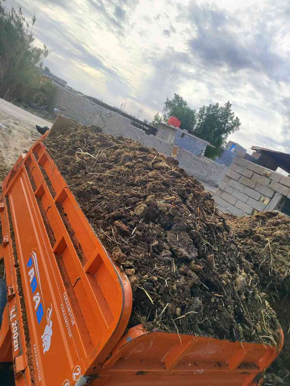 سلام عليكم يتوفر سماد حيواني نظيف ولابي ملح ولا شي سمادة تخبل افظل من بتموس  ملاحظه سماد مال جاموس وابقار مو مال مقالع ودبون يشبه بتموس وسعر ستوته حسب مكان  هيج حمال وهيج نظافة سماده براسها ستين حظ التواصل ***********
ملاحظة ❓ سماد انه اشتري من حيادر من اهل الحلال واجيبة الك للمكان تريده
