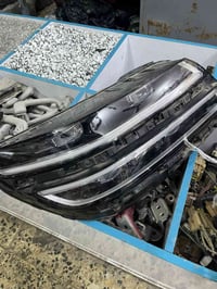 لايتات جنسس • وكالة • أصلي