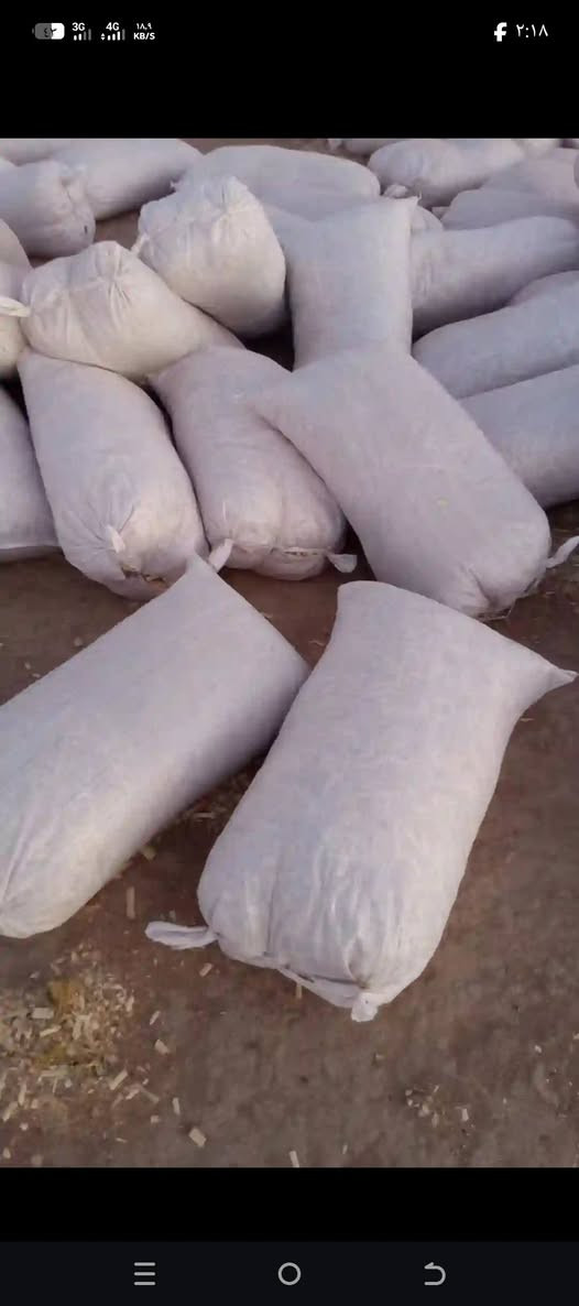 سلام عليكم توجد نشاره اثل🌲🐥🐔 للبيع توصيل طارميه وضواحيها ولباب المحل او للقاعه كميات كثيره سعر مناسب 📝خاص فقط رساله وتدلل


**إذا كنت صاحب هذا الإعلان وتريد حذفه لأي سبب، رجاءا أرسل رسالة إلى الدعم الفني**