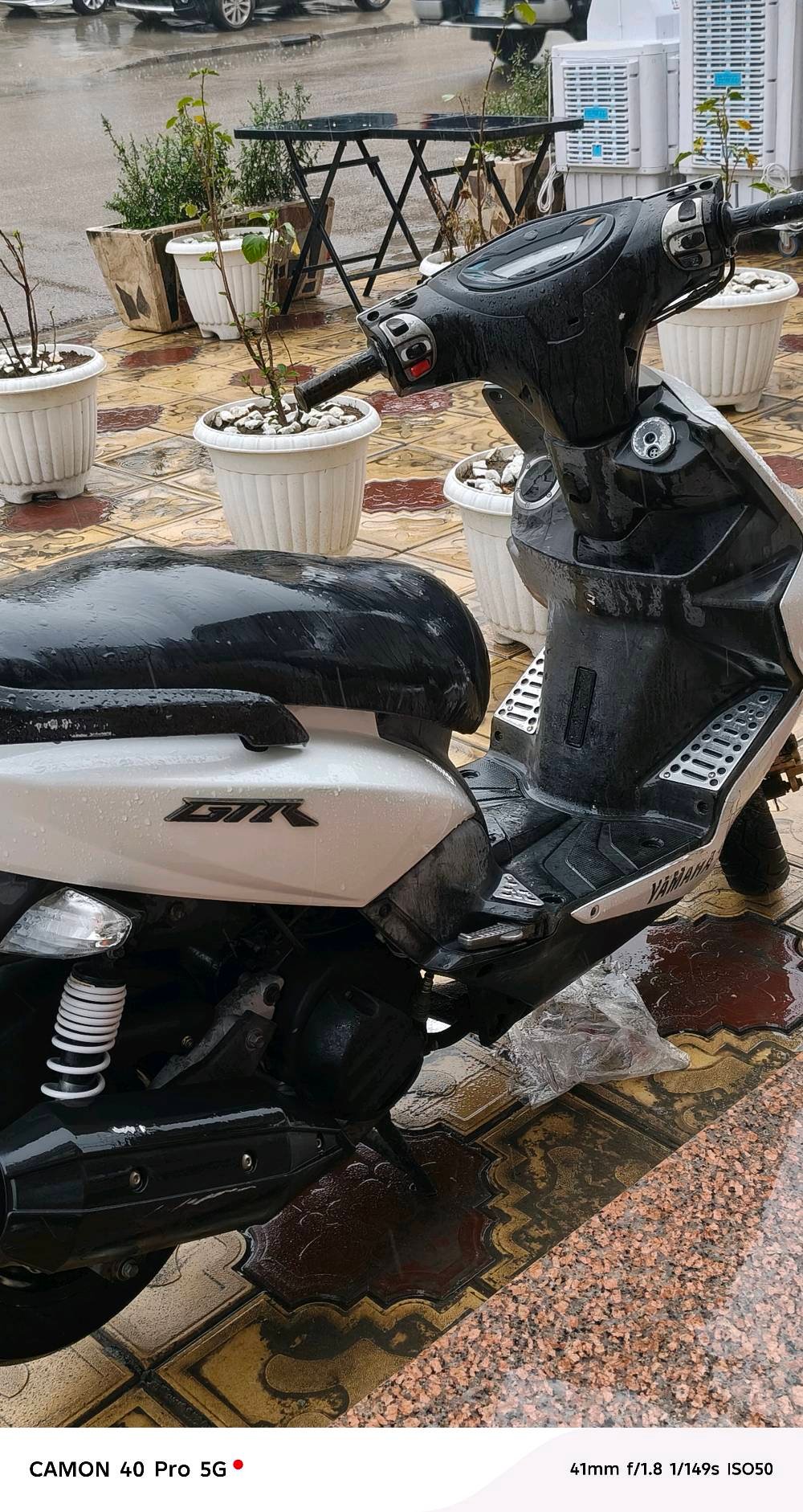 بغداد المشتل 