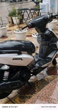 بغداد المشتل