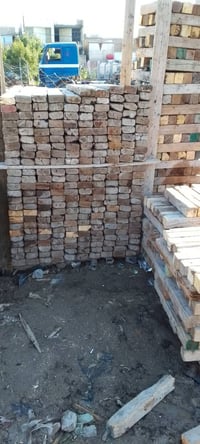 سير بقار • طول ٢م-٥٠سم • بابل