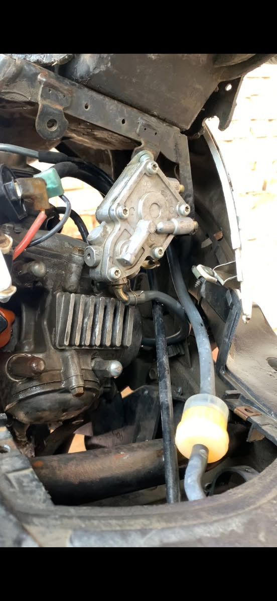 السلام عليكم
 سكنس فحل للبيع ما أراوس بس للبيع شغالة الدراجة من طول للطول كفالة عامة مكينة كهربائيات كور مشيف كامل مو بس گفر اليعرف بدراجات يعرف سعر الكور , دبلات اشاير مازدات كلشي مابيهن كلجات 
نقوصات بدراجة كلش بسيطة جيب وياك بس كابريتر
مكاني بغداد الشعب تجي تأخذها من البيت 
400 وبيها مجال 
متواجد واتساب ***********
