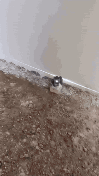 ارضيه 80/80 بورسلين انشاء تعجبكم ❤️خلولنا ومتابعه للتواصل والاستفسار ***********
