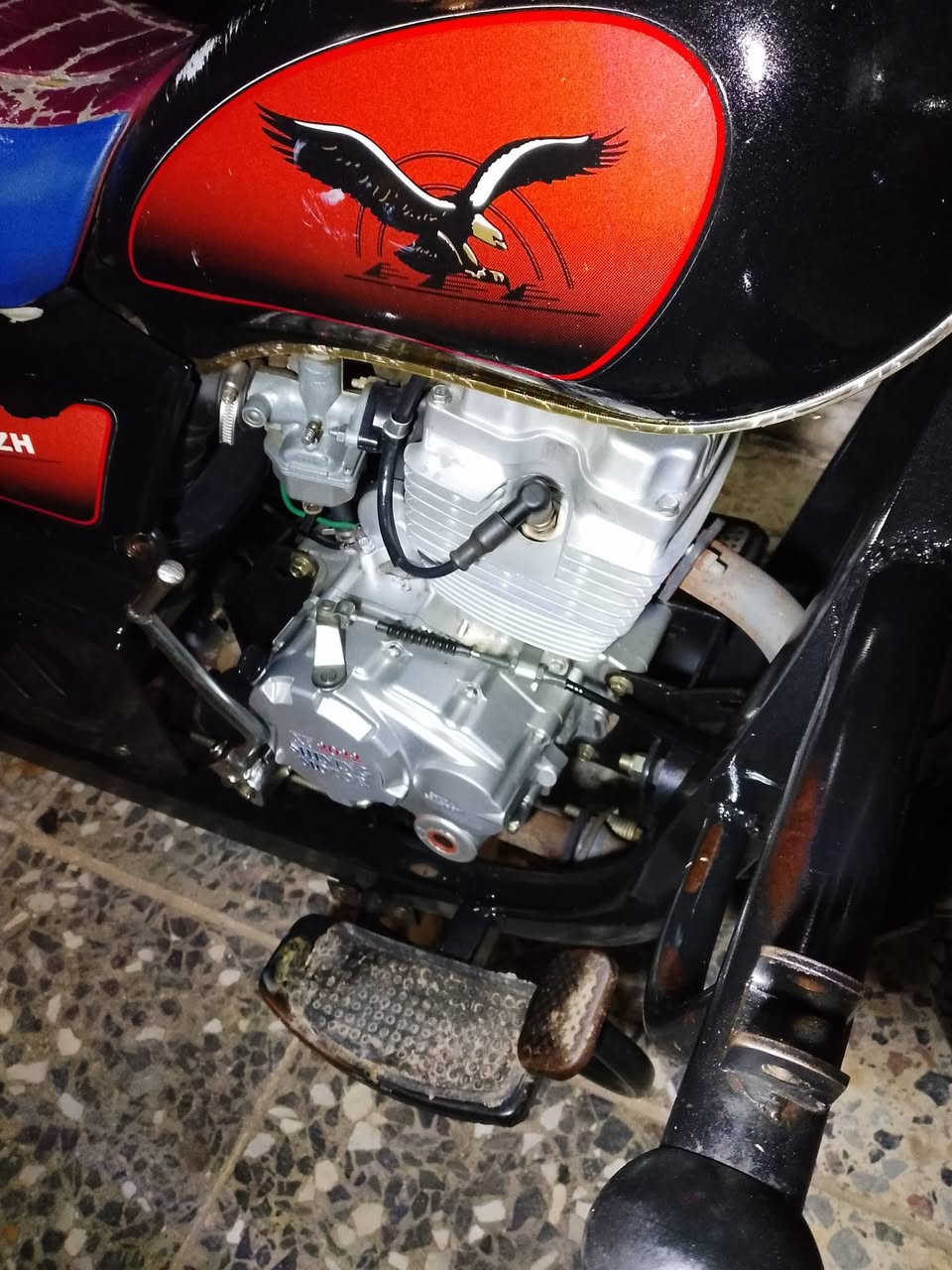 ستوته صقر لبيع 2022 رقمي ***********
