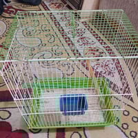 قفاصه • مناسبات • للبيع