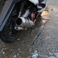 هاي الصالصنه للبيع العنوان المشتل 07713453672