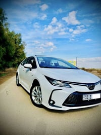 كورلا هايبرد • ٢٠٢٥ • رقم بغداد