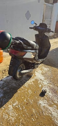 فراشة • عوزه ترتيبات