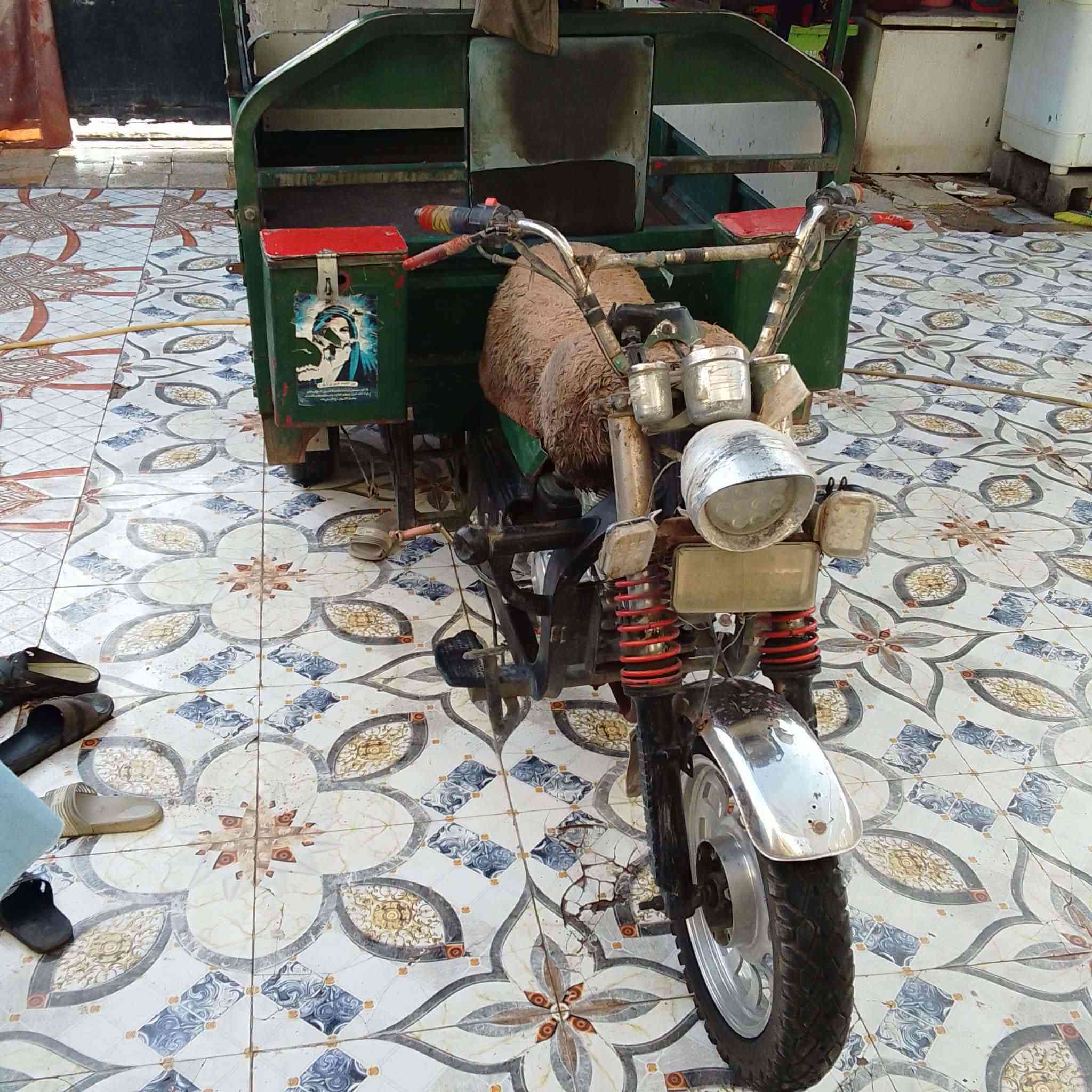 ستوته جمره فحل للبيع دوات مكينه 200 تخبل سعر 800 مكان بصره كرمه علي رقم ***********
