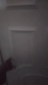 القادسية الثانية • شقة ارضية • غرفتين