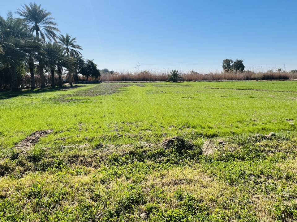 للبيع……

ارض زراعيه مساحتها (دونم واحد) ماء وكهرباء وشارع محاذي الها من جهتين  تبعد عن الشارع العام. ٢٠٠٠متر نص تبليط ونص ترابي  موقعها فرع عبيد السلطان   السعر 65 قابله للتفاوض للاستفسار اكثر الاتصال على الرقم ‭٠٧٧٨ ٠٦٣ ٢٥٨٣‬

سلوان الدليمي
