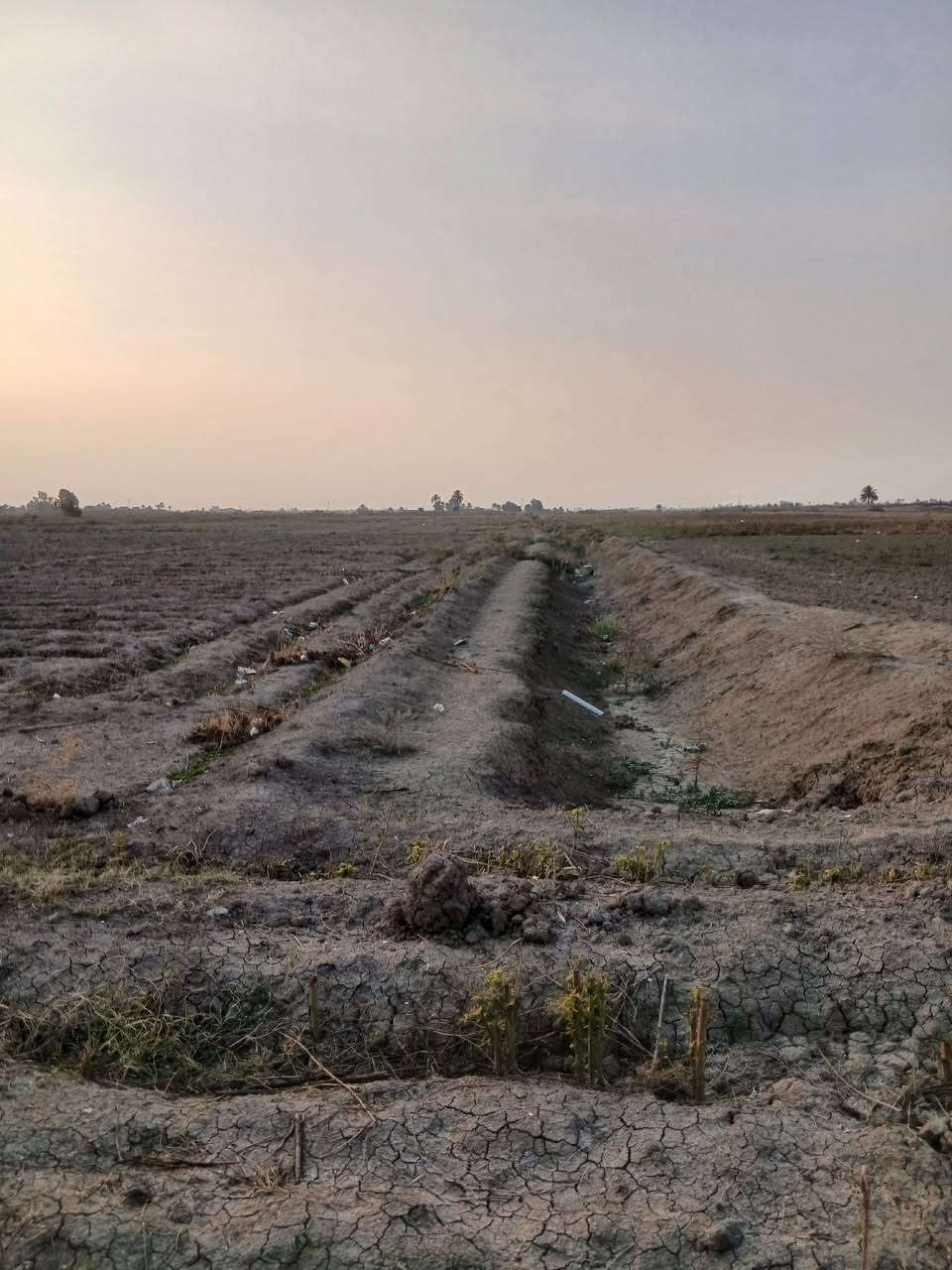 سلام عليكم قطعت ارض البيع ٢٠دونم مع بيوت اثنين السعر ٣٠٠عنواني بابل جبلة ***********
