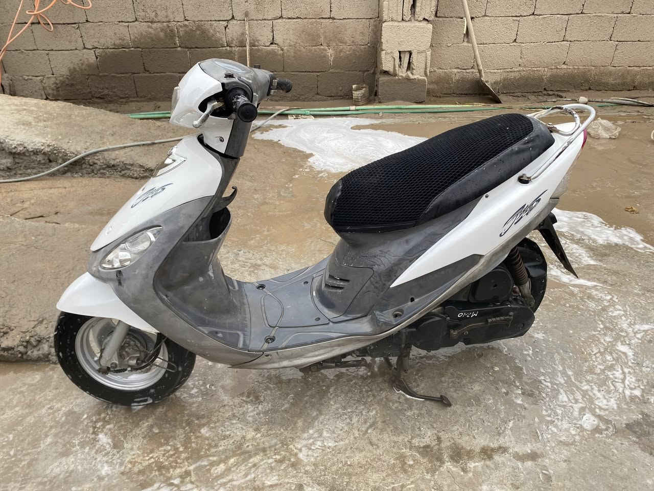 سلام عليكم ماكس منغولي البيع مكفوله مكان كربلاء ***********
