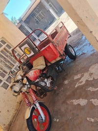 ستوته • ٢٠١٣ • بابل محاويل