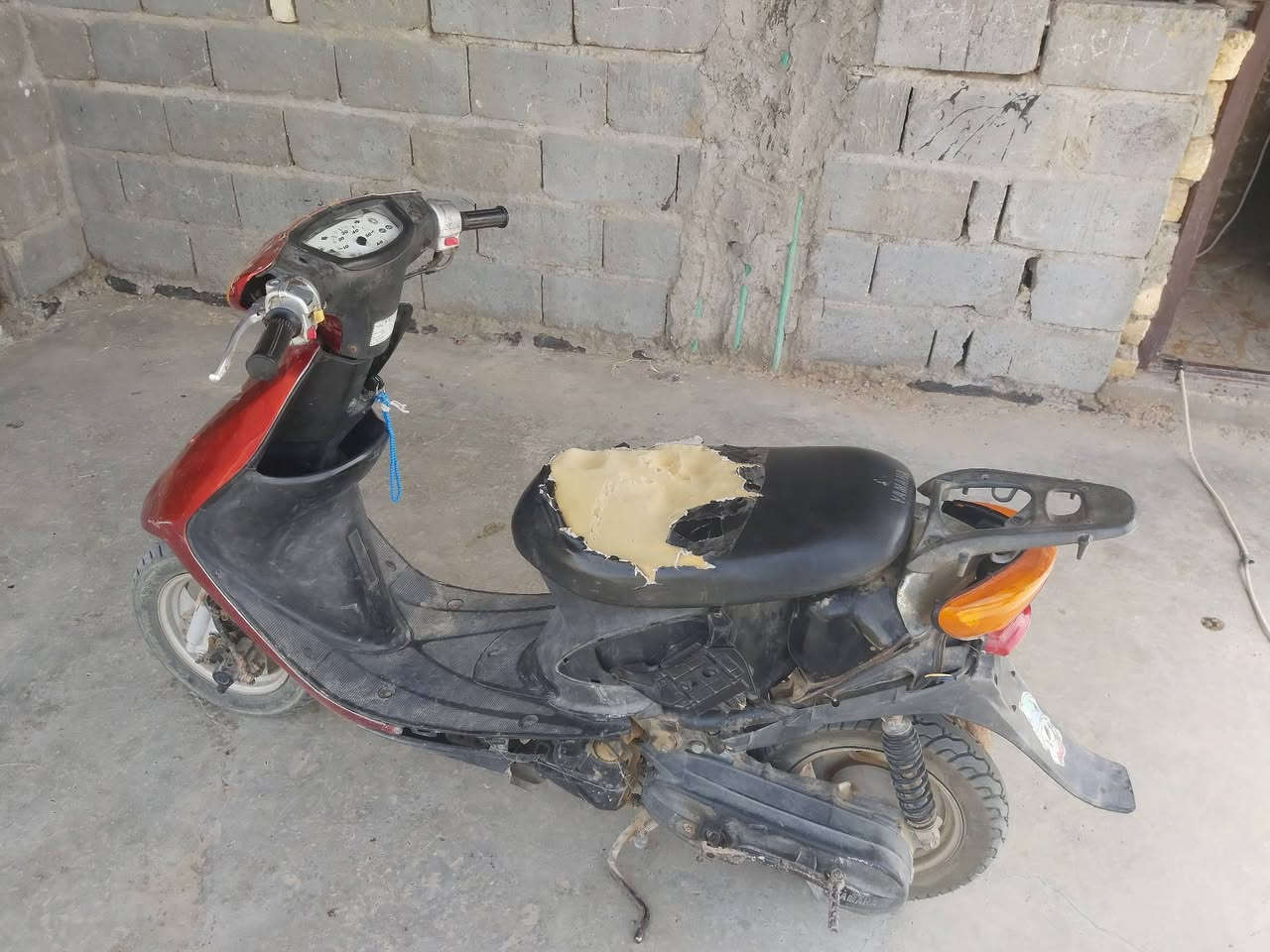 سلام عليكم دراجه عصفوره للبيع دراجه شغله سلف هندر كهربائية كامله بس باتره ضعيف 170 بيه مجال بسيط عنوان المسيب منطقه الناصريه


**إذا كنت صاحب هذا الإعلان وتريد حذفه لأي سبب، رجاءا أرسل رسالة إلى الدعم الفني**