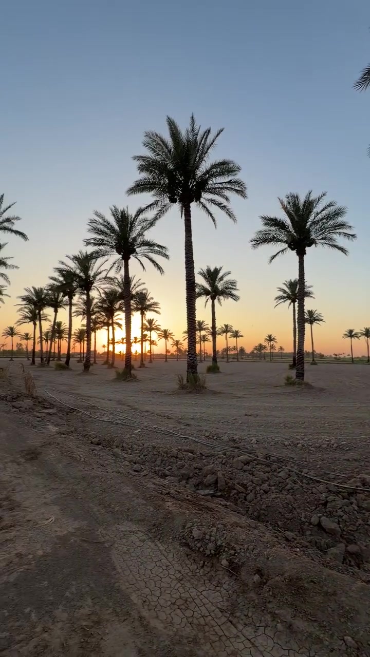 السلام عليكم كاع للبيع ٩٠ دونم ملك صرف الحولي المحموديه تبعد عن الحولي ٣ كيلوات على طابو المحموديه سند بسم شخصين فقط لاستفسار اتصل ***********
