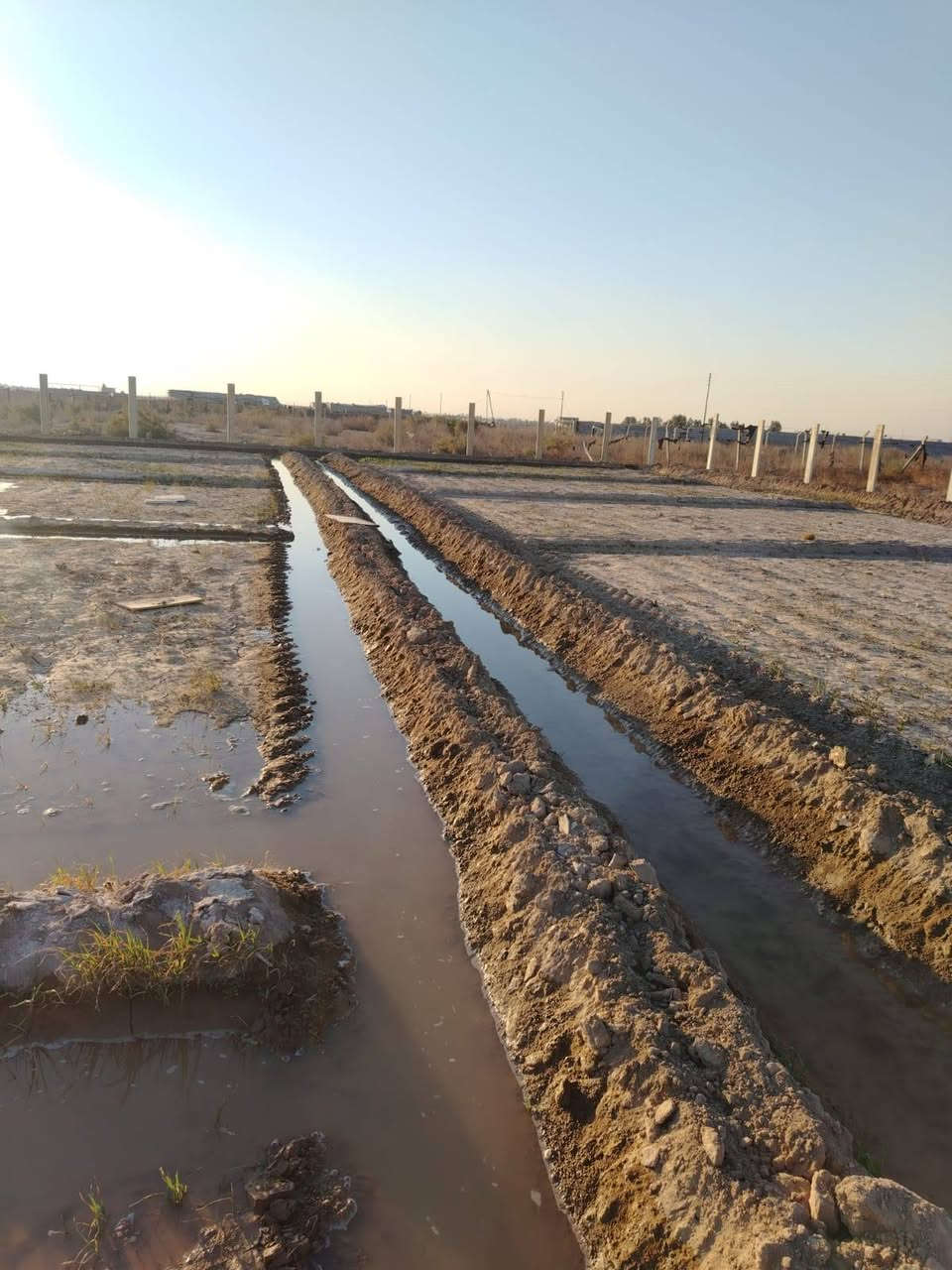 ٢ دونم بعد الجسر الفرنسي التفاصيل داخل المنشور الشراي ويحب يعرف السعر يتصل ***********@
