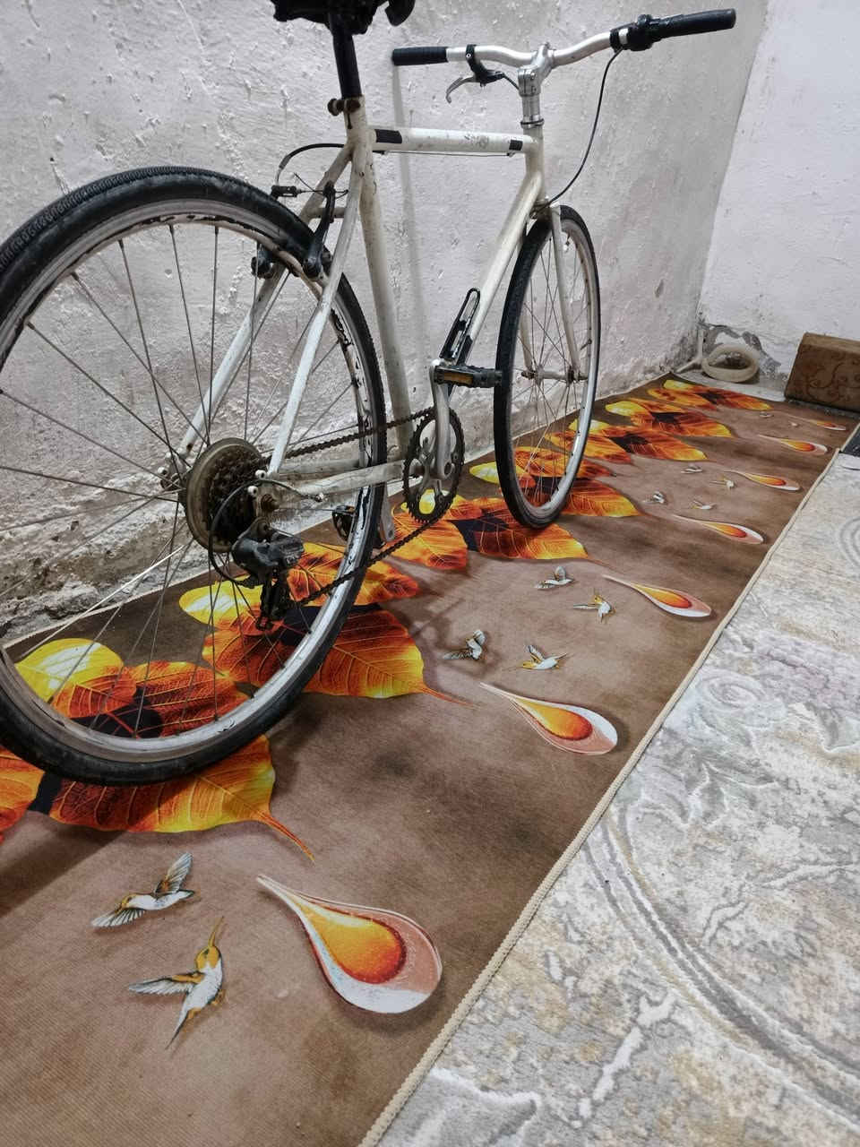 سلام عليكم يويد بيسكل ياباني لبيعه بيسكل يرادله ويرات مال بريكات بس بيسكل نضيف كدامكم سعره ال بيسكل 65 مكاني  السكان *********** متواجد
