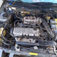 رقم جديد • هزة جديدة • كارتون