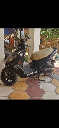 سكنس فحل • كاملة • مامفتوحة