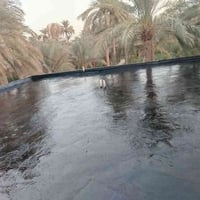 ابو محمد • كير درجة اولى • حي العباس