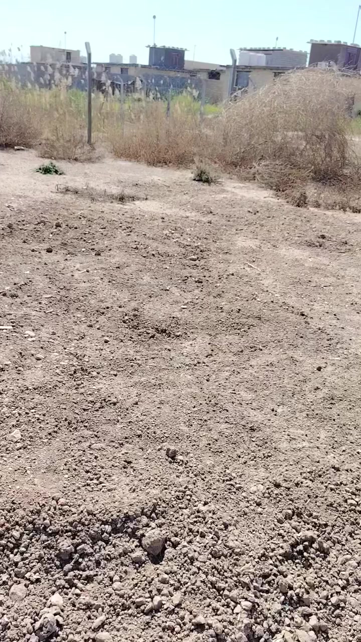 الريتاج للعقار
بأدارة أبو ريتاج ألاماره *********** أو *********** واتساب بسعر مناسب جدآ (14 مليون مع المجآل)
