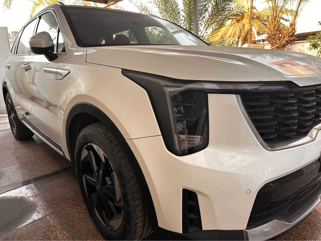 سورنتو 4 سلندر 

خليجي دولية 2024

مكفولة من صبغ وتبديل 

ماشية20000

رقم بغداد
السعر 26700

العنوان/ بغداد الغزالية

*********** ☎️ بغداد, العراق
